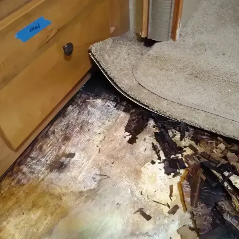 Best Wood Floor Water Damage Service in Vicksburg, MI